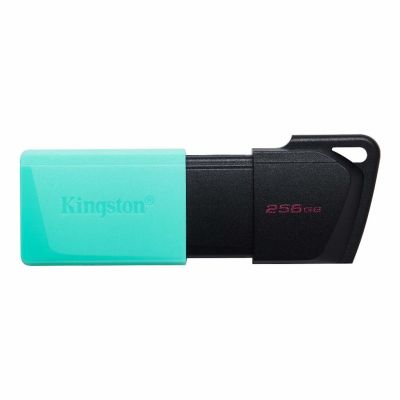 Kingston Technology 256GB USB3.2 Gen1 DataTraveler Exodia M