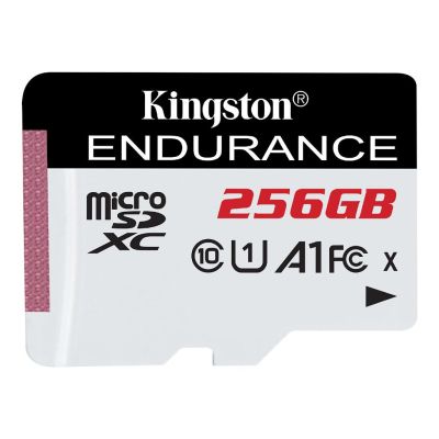 Kingston Technology 256GB microSDXC End 95R/45W C10 A1 UHS-I