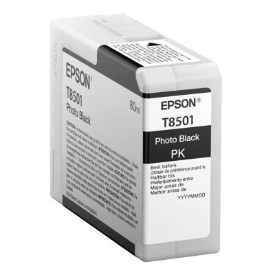 Epson Singlepack Photo Black T850100