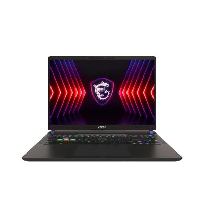 MSI Vector 16 HX A14VHG-672BE Intel® Core™ i9 i9-14900HX Ordinateur portable 40,6 cm (16") Quad HD+ 16 Go DDR5-SDRAM 1 To SSD NVIDIA GeForce RTX 4080 Wi-Fi 7 (802.11be) Windows 11 Home Gris