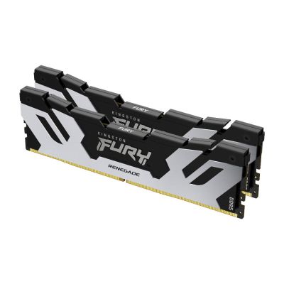 Kingston Technology FURY 32 Go 8000 MT/s DDR5 CL38 DIMM (kit de 2) Renegade Silver XMP