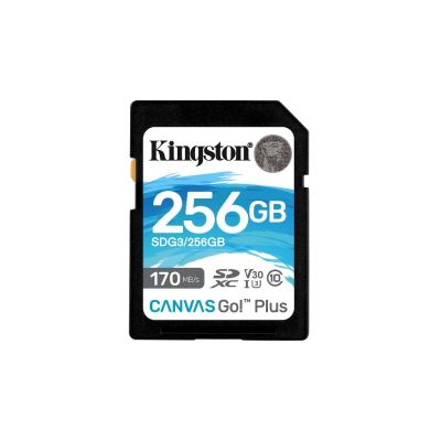 Kingston Technology 256GB SDXC Canvas Go Plus