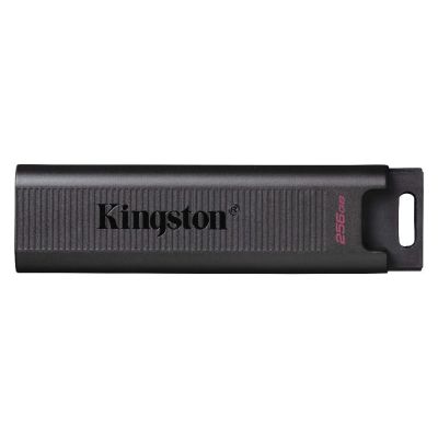 Kingston Technology 256GB DT Max 1000R/900W USB 3.2 Gen 2